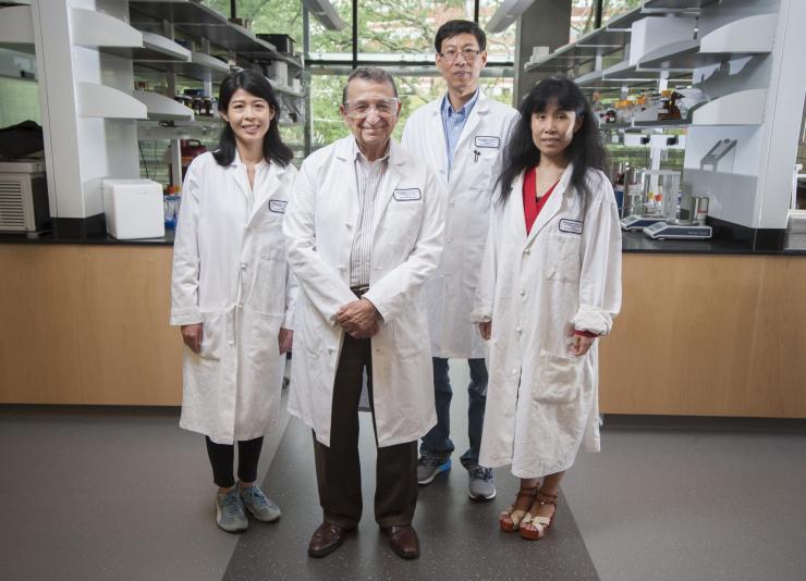 Georgia Tech's Regents Professor Mostafa El-Sayed (front) is one of the most highly decorated and cited living chemists. With his team for this research from left to right: Yue Wu, Professor Ronghu Wu, and Yan Tang