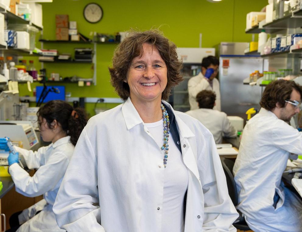 Francesca Storici and her research team discovered a surprising role for RNA in DNA repair, insights that could lead to better treatments for cancer and other diseases.